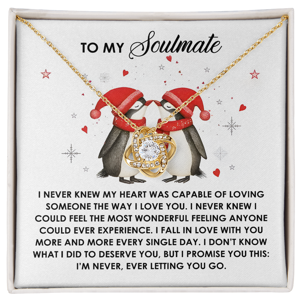 I Never Knew - Love Knot Necklace For Soulmate For Christmas