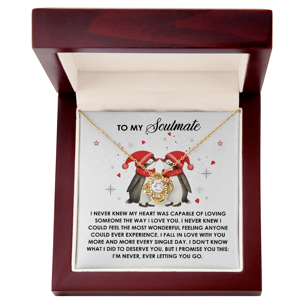 I Never Knew - Love Knot Necklace For Soulmate For Christmas