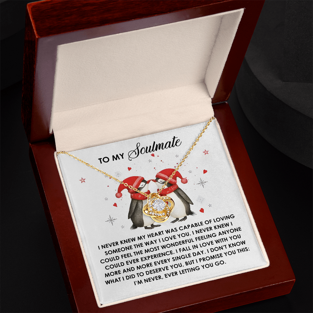 I Never Knew - Love Knot Necklace For Soulmate For Christmas