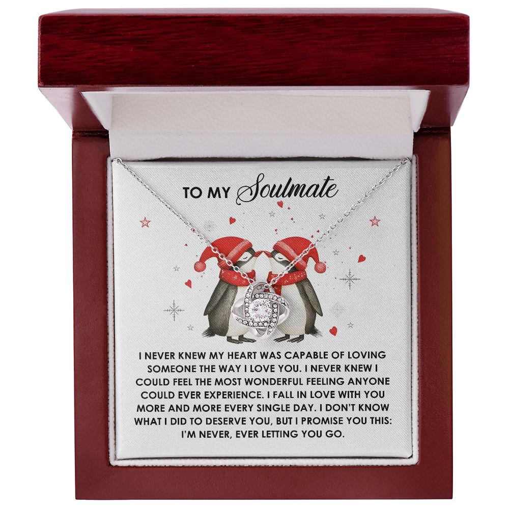 I Never Knew - Love Knot Necklace For Soulmate For Christmas