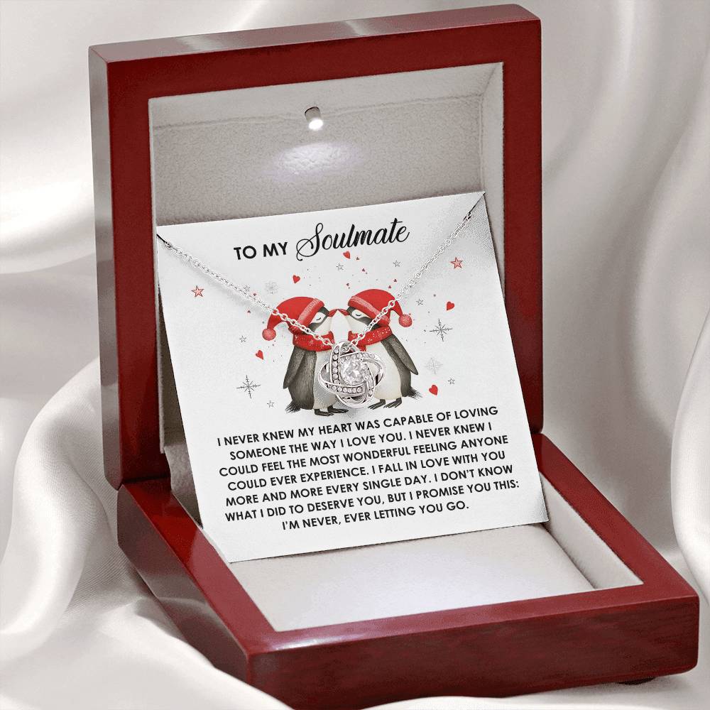 I Never Knew - Love Knot Necklace For Soulmate For Christmas