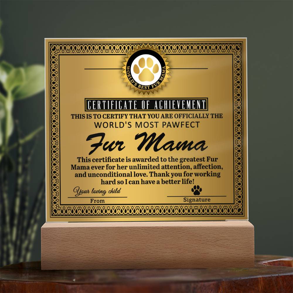 Certificate Of Achievement - Acrylic Display Centerpiece For Fur Mama