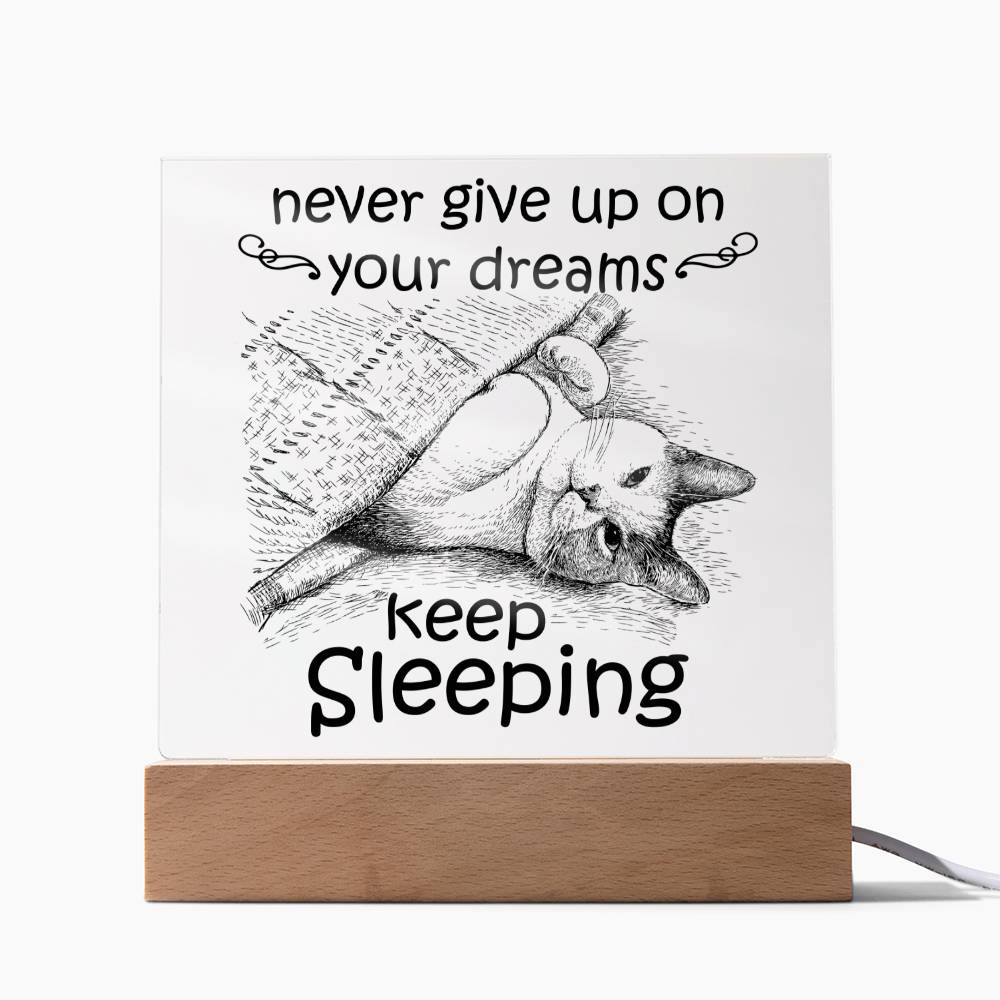 Keep Sleeping - Funny Acrylic Display Centerpiece