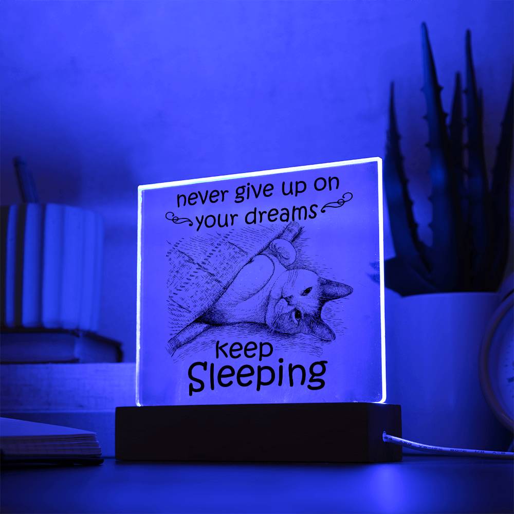 Keep Sleeping - Funny Acrylic Display Centerpiece