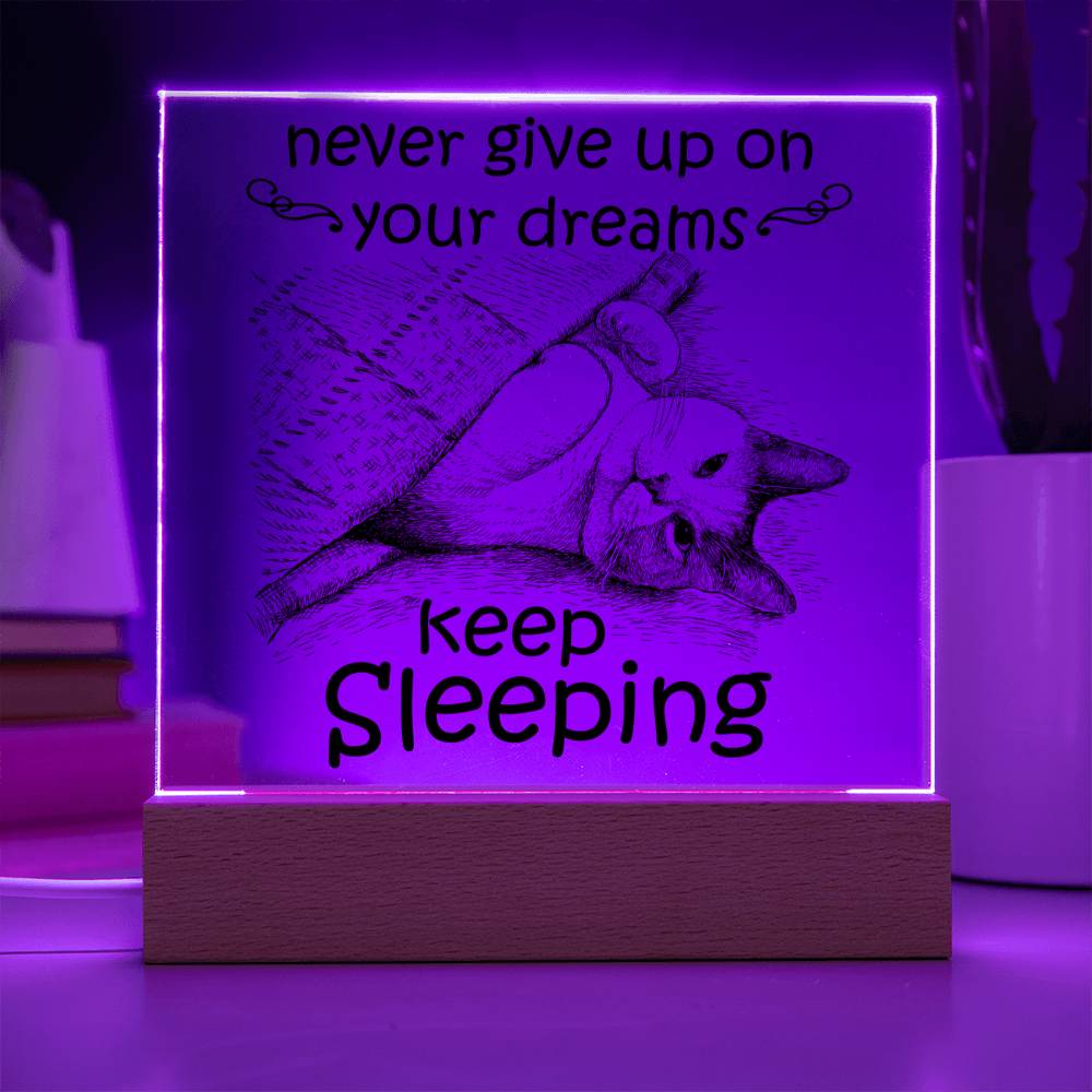 Keep Sleeping - Funny Acrylic Display Centerpiece