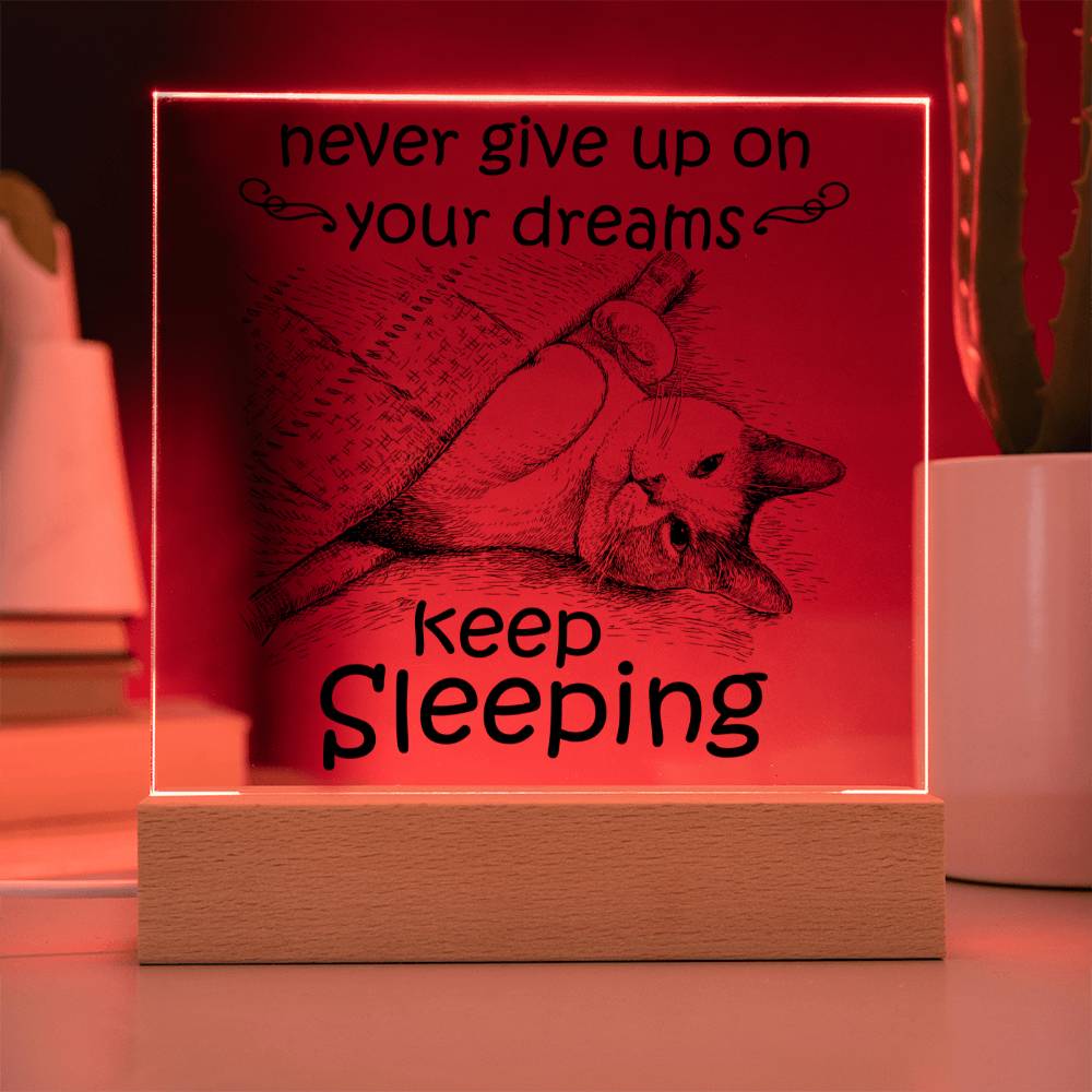 Keep Sleeping - Funny Acrylic Display Centerpiece