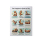 The Capybara's Guide to Zen High Gloss Poster